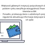 Czy w BIK widać chwilówki? Sprawdź, jak to wpływa na kredyt