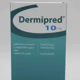Opakowanie leku Dermipred 10mg, zawierające tabletki z prednizolonem dla psów.