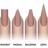 Ilustracja przedstawia sześć różnych kształtów paznokci żelowych: owal, kwadrat, migdał, balerina, szpic i sqoval.