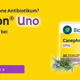 Rezeptfreie Medikamente bei Blasenentzündung: Linderung ohne Arztbesuch