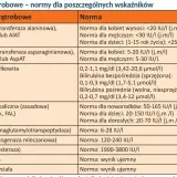 Tabela z normami badań wątrobowych: ALT, AST, bilirubina, GGTP, LDH, ChE, HBs, HCV. To badanie ocenia funkcje wątroby.
