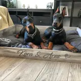 Dos Dóberman descansan en una cama de madera personalizada, "Kora & Ares". Ideal para quienes buscan como hacer una cama para perros de madera.