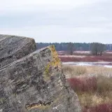 Betonowe pozostałości po bunkrach w **Osowiec** na tle mokradeł i lasu.