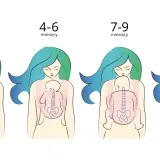 Ilustracje pokazują, jak nosić noworodka w różnym wieku: od 0-3 miesięcy do 10-12+ miesięcy.