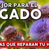Medicamentos para limpiar el hígado: mejora tu salud hepática hoy
