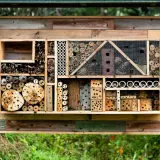 Ein **wildbienenhotel selber bauen** ist eine tolle Idee! Dieses Hotel bietet Nistplätze aus Holz, Röhren und Zapfen für Insekten.