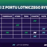 Rozkład lotów z Bydgoszczy: Ryanair oferuje loty do Dublina w czwartki i soboty.