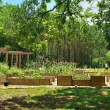 Un rigoglioso food forest con aiuole rialzate piene di verdure e alberi sullo sfondo. Persone passeggiano tra le coltivazioni.