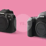Dwie lustrzanki Canon EOS R i EOS 5D Mark IV, idealne do nagrywania filmów 4K, na różowym tle.