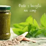 Jak zrobić pesto z bazylii na zimę - prosta receptura na zapas