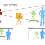 Inquadratura soggettiva: la telecamera A (teleobiettivo) riprende un uomo e fiori, la B (grandangolo) li inquadra diversamente.