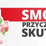 Smog: Co to jest? Przyczyny, skutki i jak walczyć o czyste powietrze