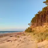 Piękna plaża w Wiśle, z piaszczystym brzegiem, morzem i sosnowym lasem na wydmach.