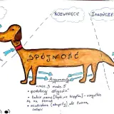 Ilustracja psa z napisem "Spójność" na grzbiecie, symbolizująca twierdzenie uzasadniające tezę.