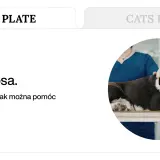Pies z objawami refluksu leży na stole weterynaryjnym. Tekst informuje o rozpoznawaniu i leczeniu refluksu u psa dietą.
