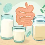 Czy kefir jest zdrowy? Ilustracja przedstawia jelita i żołądek, obok szklanki mleka i słoik z kefirem, sugerując jego korzystny wpływ na trawienie.