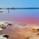 Alicante różowe jezioro zachwyca odcieniem. Samotna postać w czerwieni stoi w wodzie, odbijając się w jej tafli.