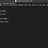 Schermata che mostra come aprire file XML con dati di persone, età e città.