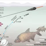Wędka bolońska: Na jakie ryby? Skuteczny połów w rzece i na jeziorze