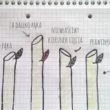 Ilustracja pokazuje, kiedy przycinać róże na wiosnę: cięcie za blisko pąka, za daleko pąka, niewłaściwy kierunek cięcia i prawidłowe cięcie.
