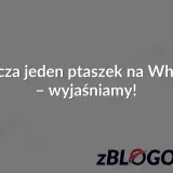 Co oznacza jeden ptaszek na WhatsApp? Wyjaśniamy! Tło z wykresami i logo zBLOGOWANI.
