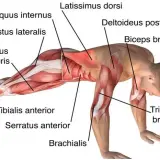 Qué músculos trabaja la plancha y cómo mejora tu entrenamiento