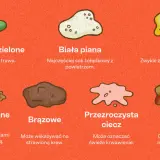 Niestrawione jedzenie w psich wymiocinach może oznaczać problemy z trawieniem.
