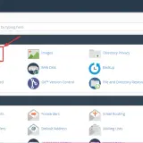 Jak przenieść stronę WordPress na inną domenę bez utraty danych?