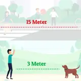 Oben: Hund wartet 15 Meter entfernt. Unten: Hund wartet 3 Meter entfernt. So übt man das hund abrufen.