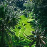 Lazy Z Spa Ubud: Polska oaza relaksu na Bali czy warto?