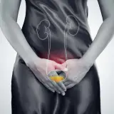 Ilustracja układu moczowego z zaznaczonym pęcherzem. Zastanawiasz się, jak szybko rośnie guz pęcherza moczowego?