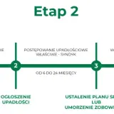 Co może zabrać syndyk przy upadłości konsumenckiej? Oto ważne informacje