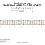 Carte du manche de basse montrant les notes naturelles et dièses. Idéal pour apprendre les notes basse.