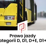 Prawo jazdy kategorii D, D1, D+E, D1+E – żółty autobus na drodze.