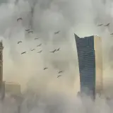 Warszawskie wieżowce w gęstej mgle, z lecącymi ptakami.