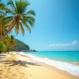 Plaża z palmami i turkusową wodą w słoneczny dzień.