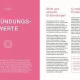 Kapitel 5 erklärt Entzündungswerte, darunter das C-reaktive Protein (CRP), ein wichtiges kleines Blutbild für Leberwerte und Entzündungen.