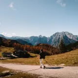 A lone hiker enjoys a scenic autumn day hiking in Bavaria, with colorful trees and majestic mountains in the background.