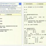 Pagina di un libretto auto con dati di lettura. Informazioni sul veicolo, marca e modello.