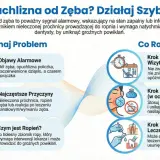 Opuchlizna zęba po antybiotyku ustępuje zazwyczaj po kilku dniach, ale kluczowa jest wizyta u dentysty. Infografika pokazuje objawy, przyczyny i kroki postępowania.