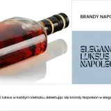 Butelka brandy Napoleon z bursztynowym płynem na białym tle.