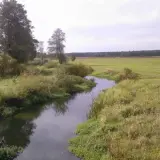 Wierna rzeka meandruje przez zielone łąki i bujną roślinność, odbijając niebo. W oddali widać las.