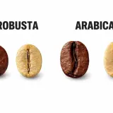 Dwa ziarna kawy: ciemniejsze Robusta i jaśniejsze Arabica, symbolizujące włoskie marki kawy.