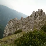 Sarnia góra wznosi się majestatycznie, skaliste szczyty i zielone kosodrzewiny tworzą surowy krajobraz.