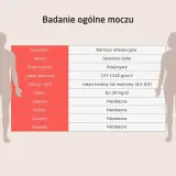 Tabela z parametrami badania ogólnego moczu: barwa, przejrzystość, ciężar właściwy, odczyn, białko, glukoza, ketony, azotyny, bakterie. Wyniki są w normie.