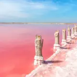 Alicante różowe jezioro, z drewnianymi słupkami porośniętymi solą, tworzy surrealistyczny krajobraz pod błękitnym niebem.
