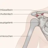 Anatomie der Schulter mit Schlüsselbein, Schulterdach und Oberarmknochen. Mögliche Ursache für Schulterschmerzen beim Arm heben.