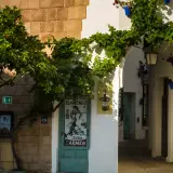 Tablao de Carmen Barcelona: la guía completa del flamenco auténtico en Poble Espanyol