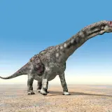 Długoszyi dinozaur roślinożerny, o szarej skórze z różowymi plamami, kroczy po spękanej ziemi pod błękitnym niebem.