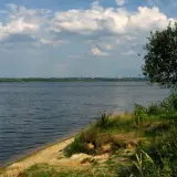Spokojne jezioro Dzierżno z piaszczystym brzegiem i drzewem na pierwszym planie. W oddali widoczny las i kominy przemysłowe.